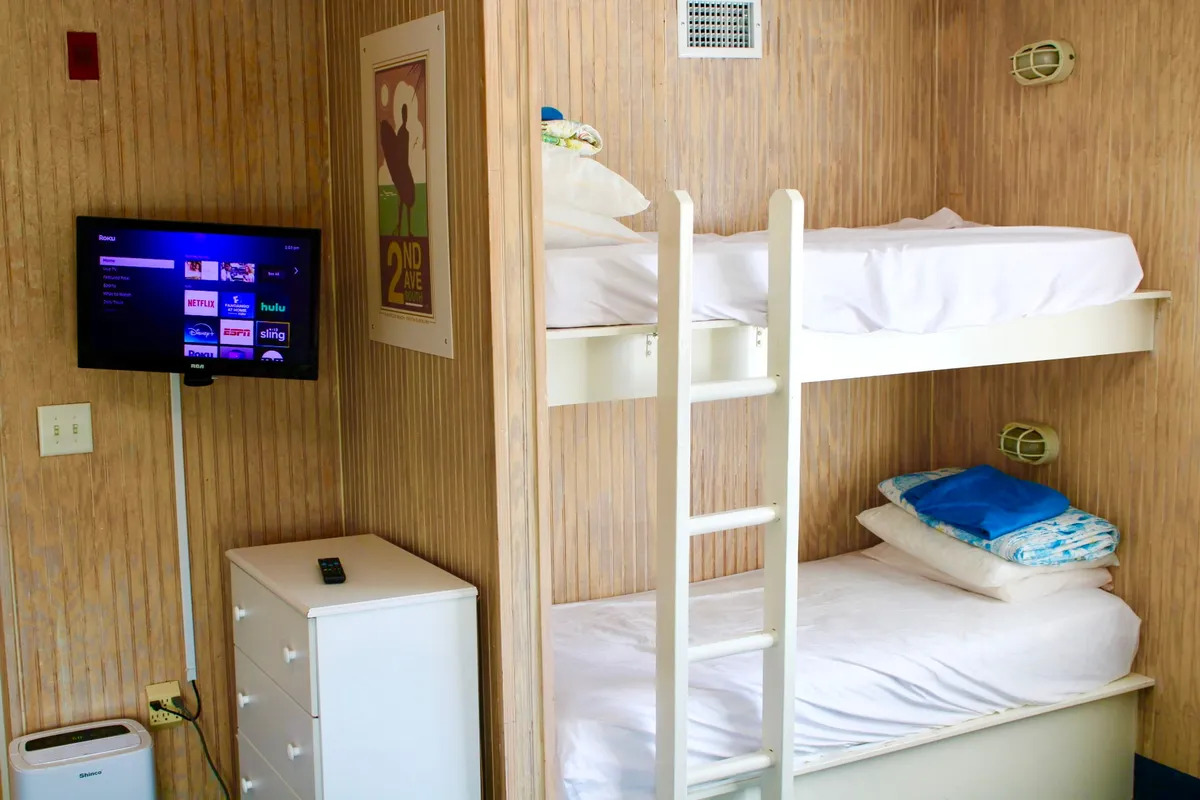 A casual and inviting studio space featuring bunk beds, a television, and a cozy reading corner. The layout offers flexibility and comfort, making it easy for guests to relax with their pets at their side. The room's open design ensures pets have space to rest and play indoors, while natural light adds warmth to the atmosphere.